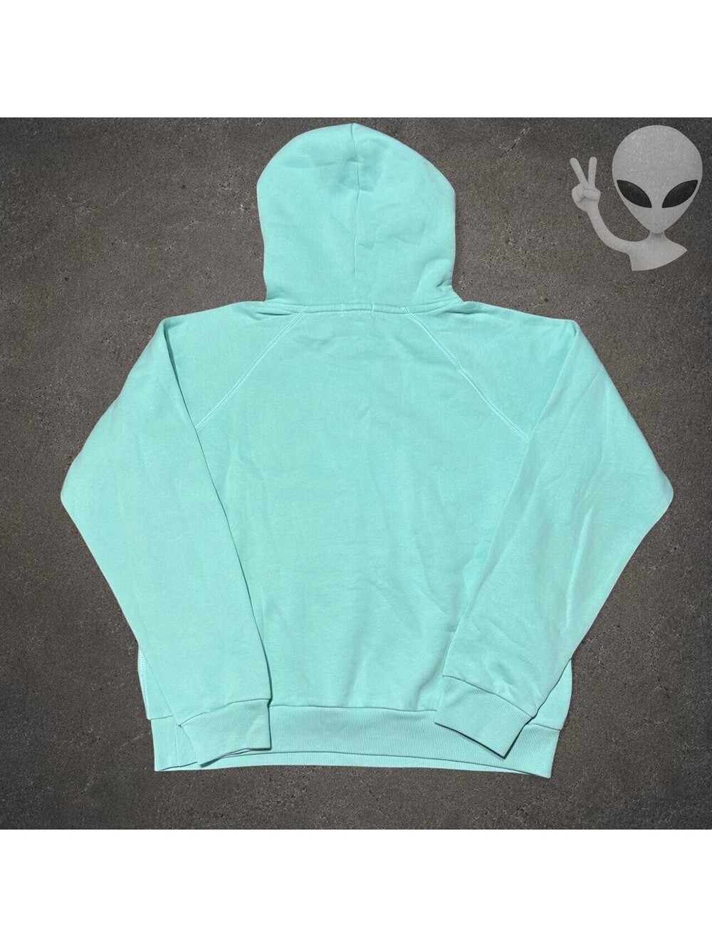 Polo Ralph Lauren Big Pony Hoodie Women's XL Sky Blue with Tags - Picture 7 of 8